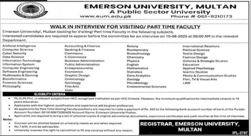 Emerson University Multan Jobs 2025