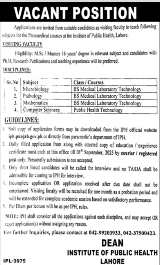 Institute Of Public Health IPH Lahore Jobs 2025
